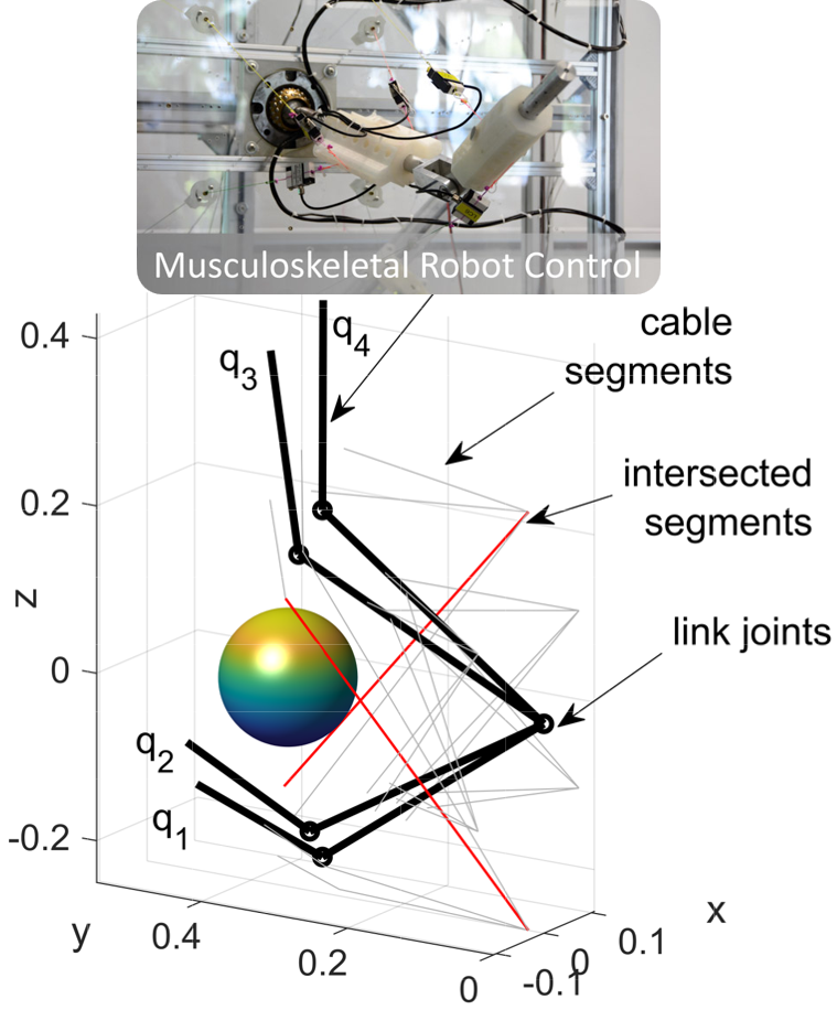 General cable robot 1
